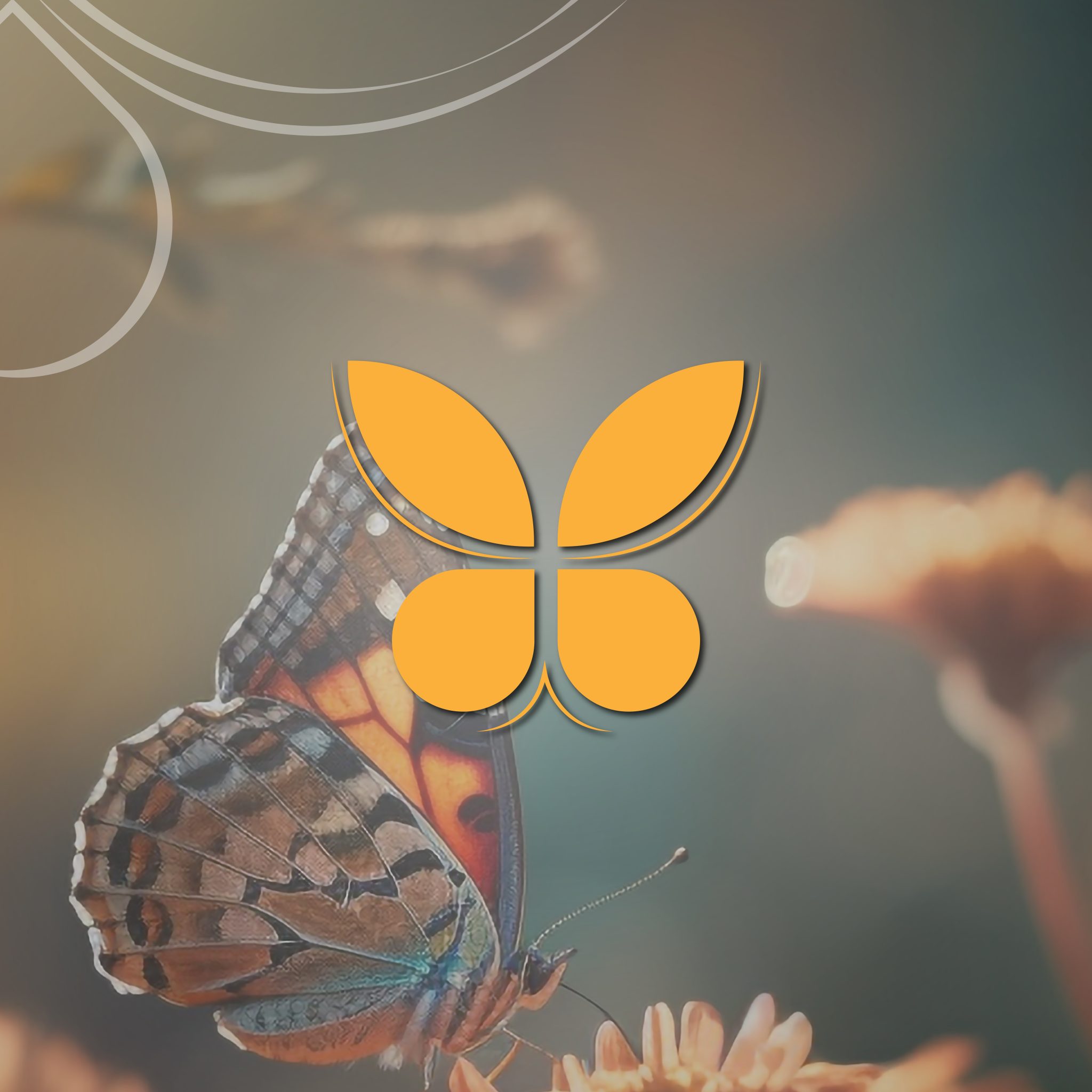 butterfly 02