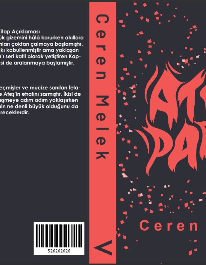 WhatsApp Image 2026-03-29 at 11.53.24 PM (2)